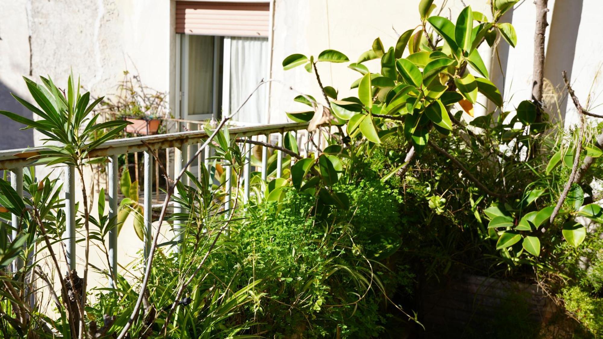 Centro Spaccanapoli Appartement Naples